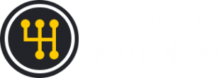 Логотип компании Импорт Моторов