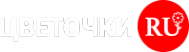 Логотип компании Цветочки.ру