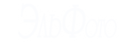 Логотип компании ЭльФото