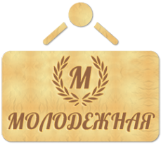 Логотип компании Молодежная