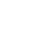 Логотип компании Dinamic Systems Group
