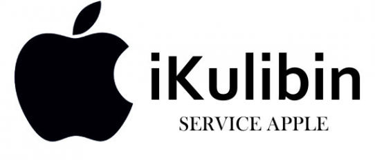 Логотип компании АйКулибин