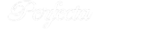 Логотип компании Perfecta