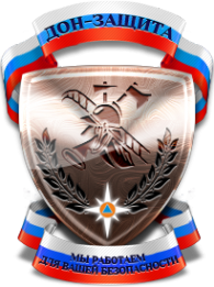 Логотип компании ДОН-Защита