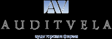 Логотип компании Аудит-Вела