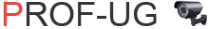 Логотип компании Проф-Юг