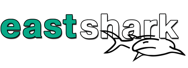 Логотип компании EastShark