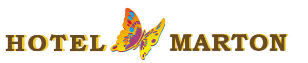 Логотип компании Marton