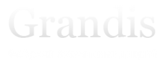 Логотип компании Grandis