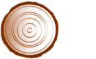 Логотип компании Лесторгростов