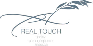 Логотип компании Real Touch