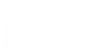 Логотип компании Бизнес Меридиан