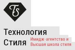 Логотип компании Технология Стиля