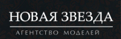 Логотип компании Новая звезда