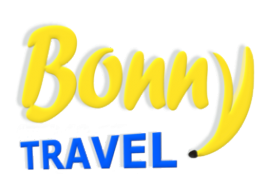 Логотип компании Bonny travel