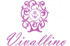 Логотип компании Vivallino