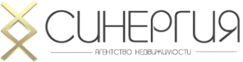 Логотип компании Синергия