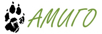 Логотип компании Ветеринарная клиника Амиго