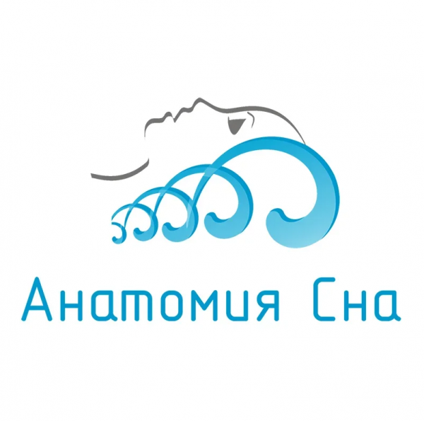 Логотип компании Анатомия сна