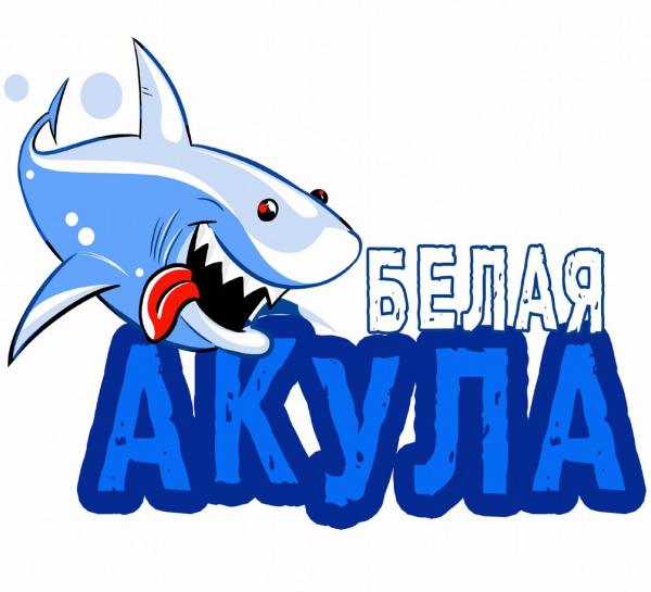 Логотип компании зоомагазин Белая Акула на 40 лет Победы 95/6