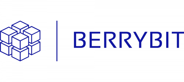 Логотип компании Berrybit.ru