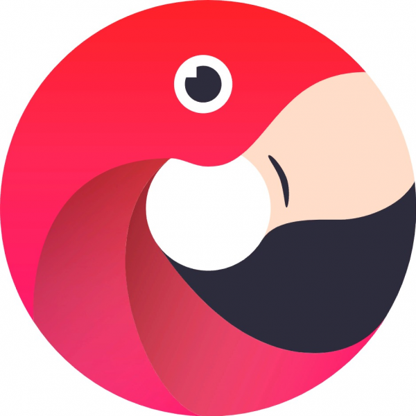 Логотип компании Digital-агенство Flamingo