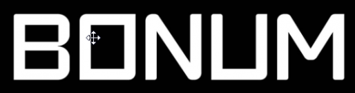Логотип компании БОНУМ