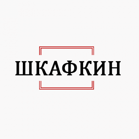 Логотип компании Шкафкин