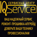 Логотип компании IQService